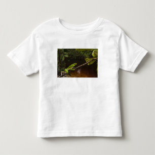 Camiseta Infantil Rã gigante de folha (Phyllomedusa bicolor) 2
