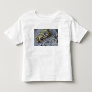 Camiseta Infantil Rã-leopardo-do-norte, Ilha Transparente,
