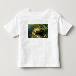 Camiseta Infantil Rã-touro.
