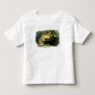 Camiseta Infantil Rã-touro.