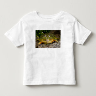 Camiseta Infantil Rã-Touro-Africana, Pyxicephalus