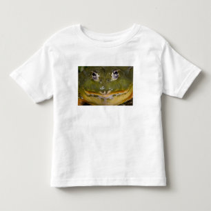Camiseta Infantil Rã-Touro-Africana, Pyxicephalus