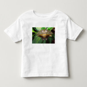Camiseta Infantil Rã-Touro-Africana, Pyxicephalus 2