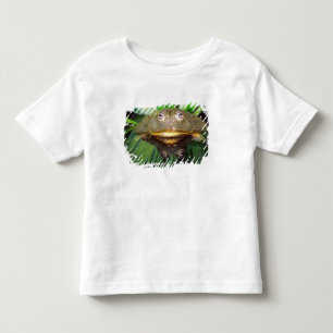 Camiseta Infantil Rã-Touro-Africana, Pyxicephalus 2