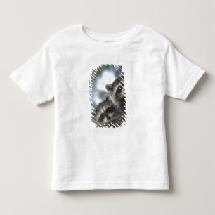 Camiseta Infantil Raccoons Procyon Lotor) do lago de Peixes, Central