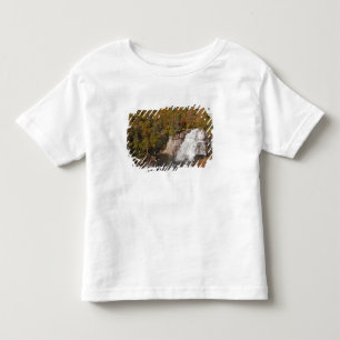 Camiseta Infantil Rainbow Falls in Gorges State Park