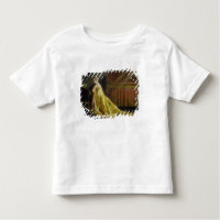 Rainha Vitória em seu manto de coroação, 1838 (pet