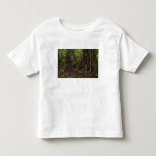 Camiseta Infantil Raízes de Contraforte. Floresta Tropical, Mapari R