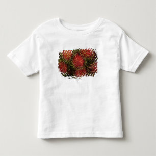 Camiseta Infantil Rambutan