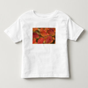 Camiseta Infantil Ramo coberto com folhas de outono
