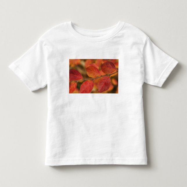 Camiseta Infantil Ramo coberto com folhas de outono (Frente)