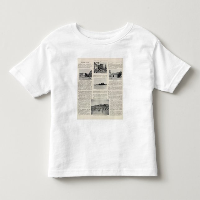 Camiseta Infantil Rancho de Piezzi, vinhedo de Harris, Califórnia (Frente)
