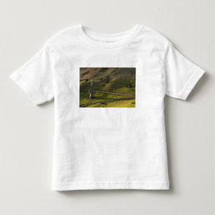 Camiseta Infantil Rano Raraku, Rapa Nui, Ilha de Páscoa, Chile
