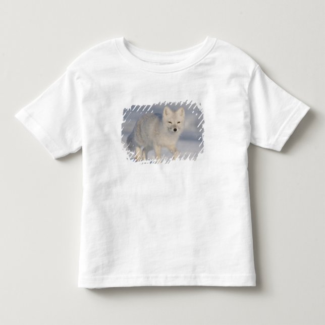 Camiseta Infantil Raposa Árctica, Alasca (Frente)