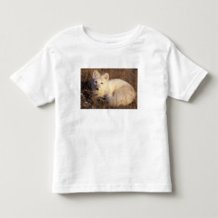 Camiseta Infantil raposa ártica, Alopex lagopus