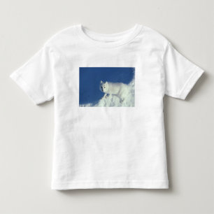 Camiseta Infantil Raposa ártica Alopex lagopus) Uma raposa ártica