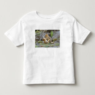 Camiseta Infantil Raposa Cinzenta Sul-Americana (Lycalopex griseus) 
