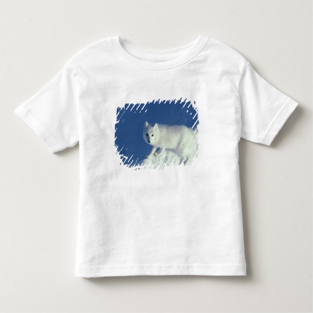 Camiseta Infantil Raposa do Ártico Alopex lagopus) Raposa do Ártico (Frente)