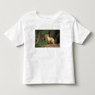 Camiseta Infantil Raposa vermelha jovem em frente à toca (Vulpes vul
