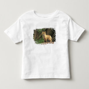Camiseta Infantil Raposa vermelha jovem em frente à toca (Vulpes vul