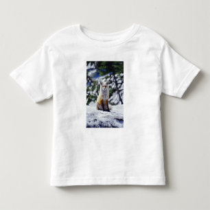 Camiseta Infantil Raposa Vermelha sentada no banco de neve, Vulpes, 
