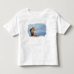Camiseta Infantil raposa-vermelha, Vulpes vulpes