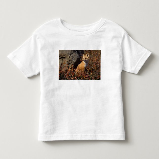 Camiseta Infantil raposa-vermelha, Vulpes vulpes (Frente)