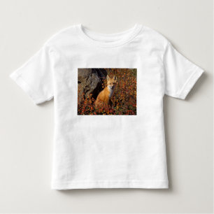 Camiseta Infantil raposa vermelha, Vulpes vulpes, em cores de outono