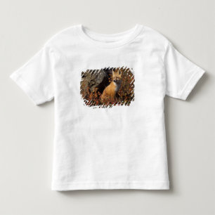 Camiseta Infantil raposa vermelha, Vulpes vulpes, em cores de outono