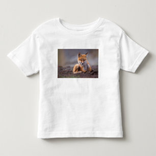 Camiseta Infantil raposa-vermelha, Vulpes vulpes, filhote coçando-se