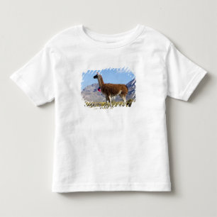 Camiseta Infantil Rebanho de lamas decorados na Puna, cordilheira do