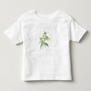 Camiseta Infantil Rebarba-Cravo-de-defunto Trifid, pintado em