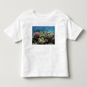 Camiseta Infantil Recife Coral, Agincourt, Grande Barreira de Coral,