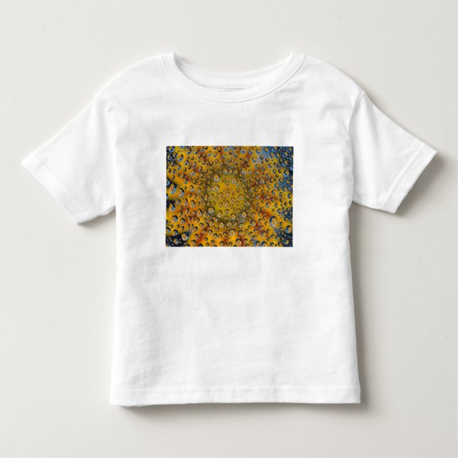 Camiseta Infantil Reflexo Dew Drop de flor, Crescent City, (Frente)