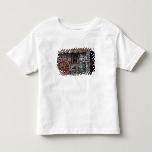 Camiseta Infantil Reino Unido, Escócia, Ilha de Skye, pedra