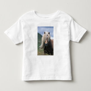 Camiseta Infantil Reino Unido, Escócia, Ilhas Shetland, pônei Shetla