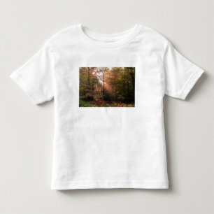 Camiseta Infantil Reino Unido. Floresta de Dean. Raio de sol penetra