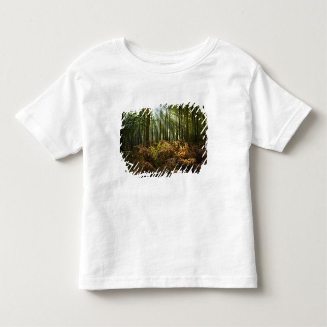 Camiseta Infantil Reino Unido, Inglaterra. Raios de luz solar passan (Frente)