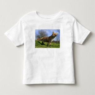Camiseta Infantil Reino Unido, Inglaterra. Raposa Vermelha (Vulpes v