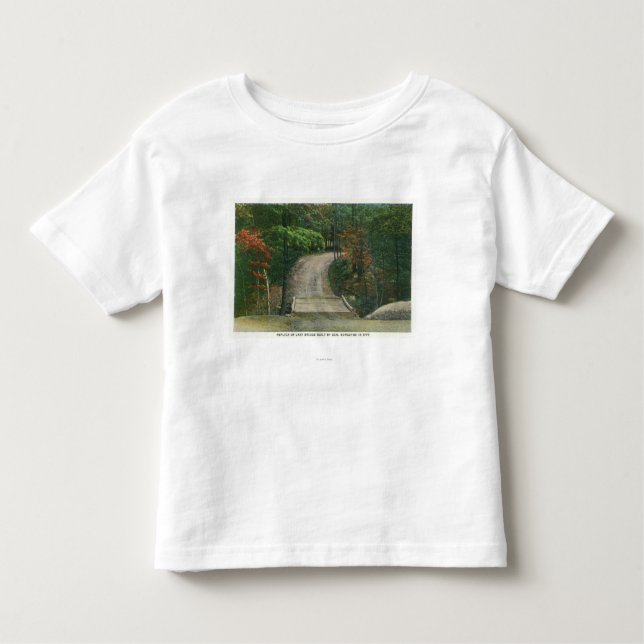 Camiseta Infantil Réplica da última ponte do Gen Burgoyne (Frente)