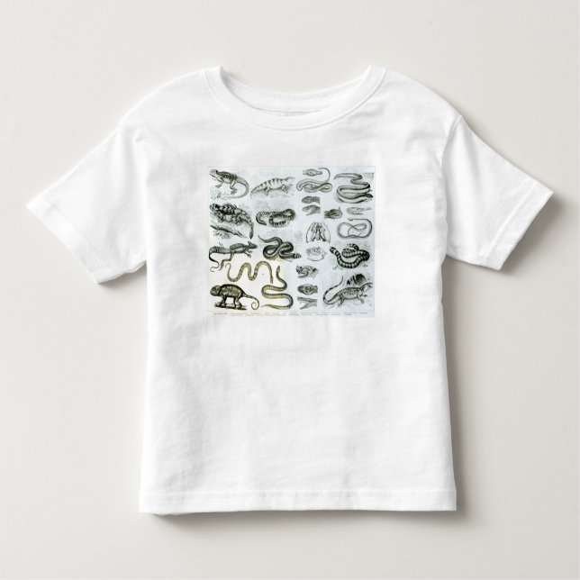 Camiseta Infantil Répteis, serpentes e lagartos (Frente)