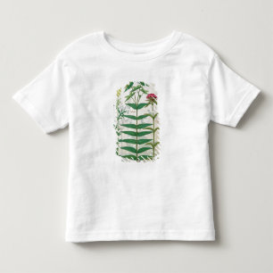 Camiseta Infantil Reseda, eufórbio e cravo-da-índia