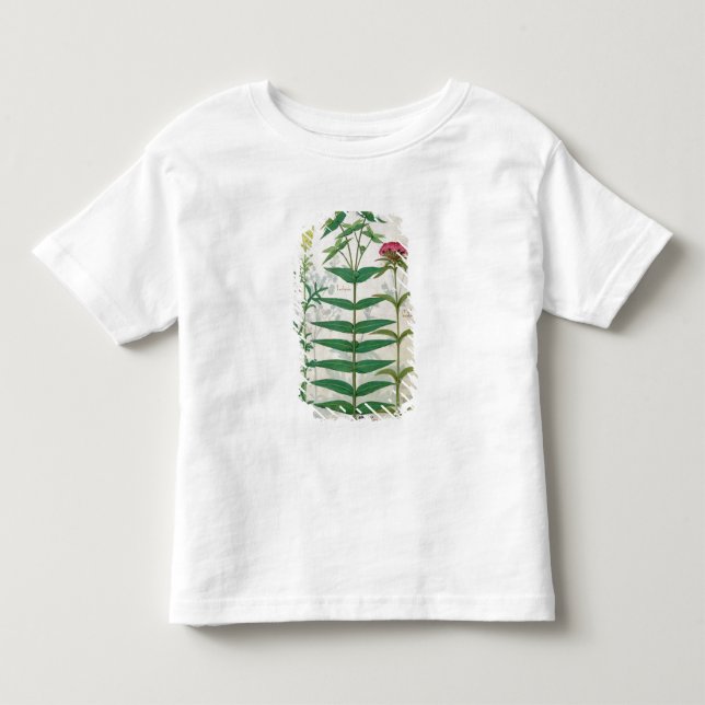 Camiseta Infantil Reseda, eufórbio e cravo-da-índia (Frente)