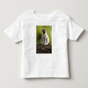 Camiseta Infantil Reserva de Caça Samburu, Quênia, Macaco Vervet,