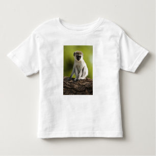Camiseta Infantil Reserva de Jogo Samburu, Quénia, Macaco Vervet,