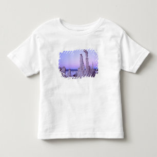 Camiseta Infantil Reserva do Mono Lake. Califórnia. EUA. Tufa