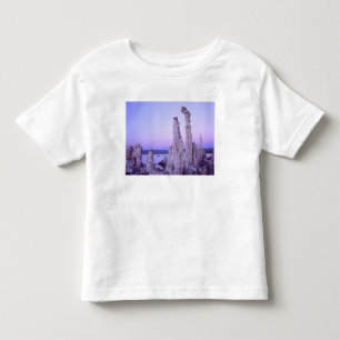 Camiseta Infantil Reserva do Mono Lake. Califórnia. EUA. Tufa