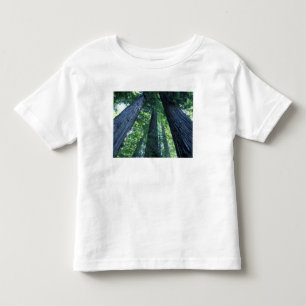 Camiseta Infantil Reserva Estadual de Montgomery Woods, Califórnia.