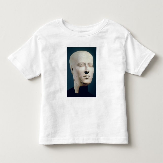 Camiseta Infantil Retrato das sepulturas do Giza (Frente)