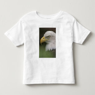 Camiseta Infantil Retrato de Águia Americana Adulta, Haliaeetus